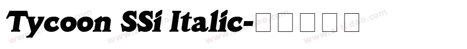 Tycoon SSi Italic字体转换